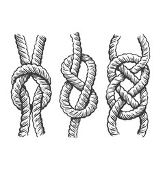 Nautical Rope Knots Set Marine Concept Sketch