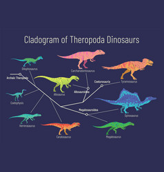 Cladogram Theropoda Dinosaurs Colorful