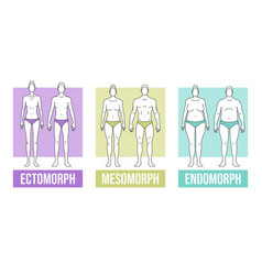 Men body types diagram with three somatotypes Vector Image