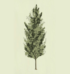 Spruce Tree Sticker Overlay On A Sage Green