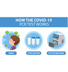 Covid19 Testing Diagram With Antigen Test Kit