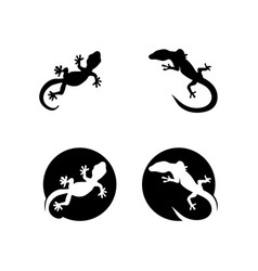 Lizard Design Animal And Reptile Gecko