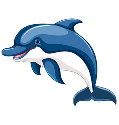 Dolphin Jumping And Smiling