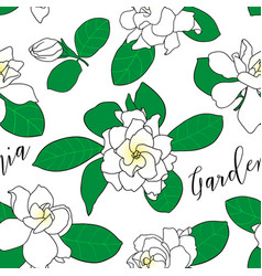 Seamless Pattern With Gardenia Jasminoides Cape