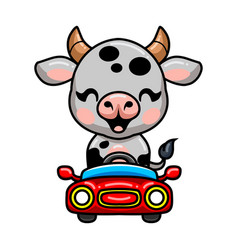 Cute Baby Cow Cartoon Driving Red Car