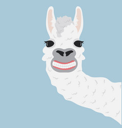 Happy Llama Smile