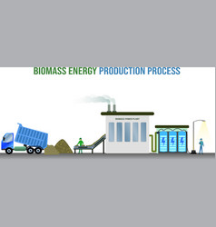 Biomass Energy Production Process