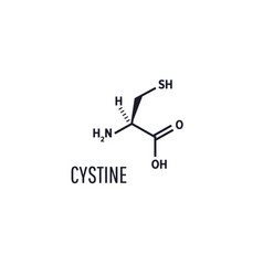 Cysteine L-cysteine Cys C Proteinogenic Amino