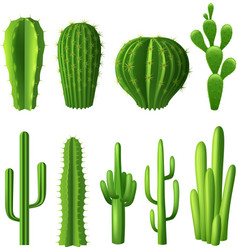 Cactus Realistic Set