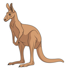 Cartoon red kangaroo carrying a cute Joey Vector Image