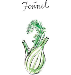 Watercolor Fennel