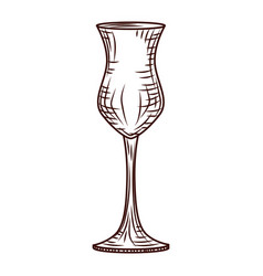 Empty Glass Pisco Engraved Style Isolated