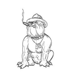 Army Sergeant Major Bulldog Devil Dog Smoking