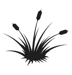 Bulrush Silhouette Wetland Natural Plant Black