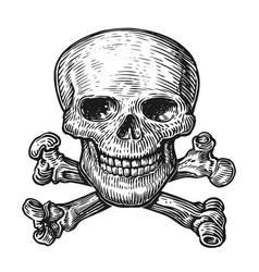 Human Skull With Crossbones Black And White