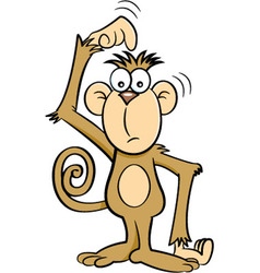 Cartoon Confused Monkey