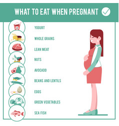 Pregnant diet concept woman with belly Royalty Free Vector