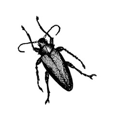 Longhorn Beetle Icon