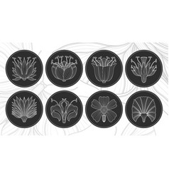 Art Nouveau Style Flower Plant Basic Circle