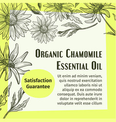 Organic Chamomile Essential Oil Promo Banner