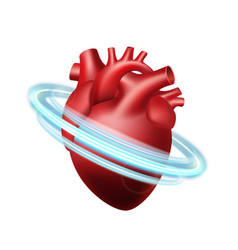 Healthy Human Heart In Blue Protective Circle