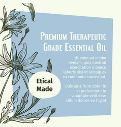 Premium Therapeutic Grade Essential Oil Banner