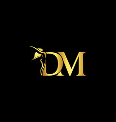 Letter Dm Beautiful Woman Logo