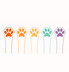 Colorful Paw Feet Print Background Track