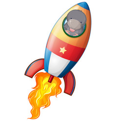 A Mole In Rocket