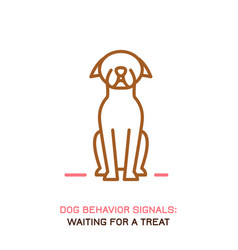 Dog Behavior Icon