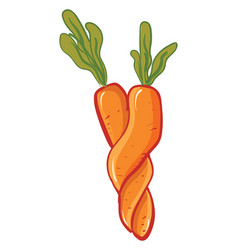 A Carrots Twisted Together Or Color