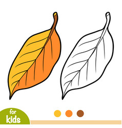 Coloring Book Pear Tree Leaf