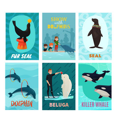 Dolphinarium Show Cards Set