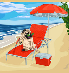 Pug On Sun Lounger In Sunglasses Beach