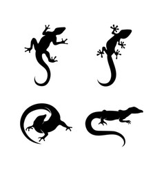 Lizard Design Animal And Reptile Gecko