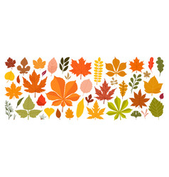 Abstract Autumn Leaf Modern Botanical Set Foliage