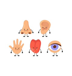 Five Human Senses Organs Kawaii Characters Set