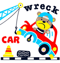 Funny Bear Cartoon On Wreck Car