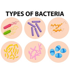 Germs with monster face Royalty Free Vector Image