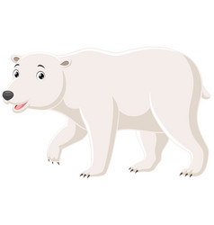 Cute Polar Bear Isolated On White Background