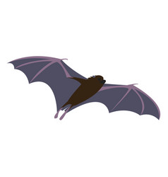 Flat Bat Fly Night