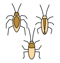 Cockroach Bug Icons Set Color