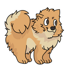 Cute Cartoon Pomeranian Puppy Breed Clipart