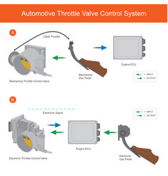 Automotive Throttle Valve Control System