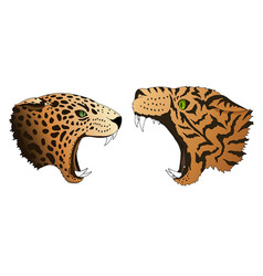 Hungry Leopard And Tiger Want To Eat