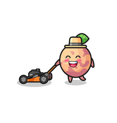 Pluot Fruit Character Using Lawn Mower