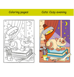 Coloring And Color Cat Sleeping On A Books