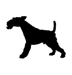 Portrait Fox Terrier Dog Silhouette Isolated