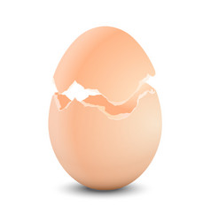 Egg Shell Broken