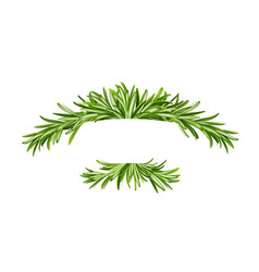 Rosemary Banner Frame With Green Leaves Border